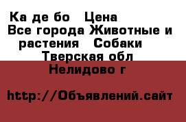 Ка де бо › Цена ­ 25 000 - Все города Животные и растения » Собаки   . Тверская обл.,Нелидово г.